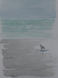 Load image into Gallery viewer, Back to the Beach Beginners Watercolor Class at Island Lake Inn