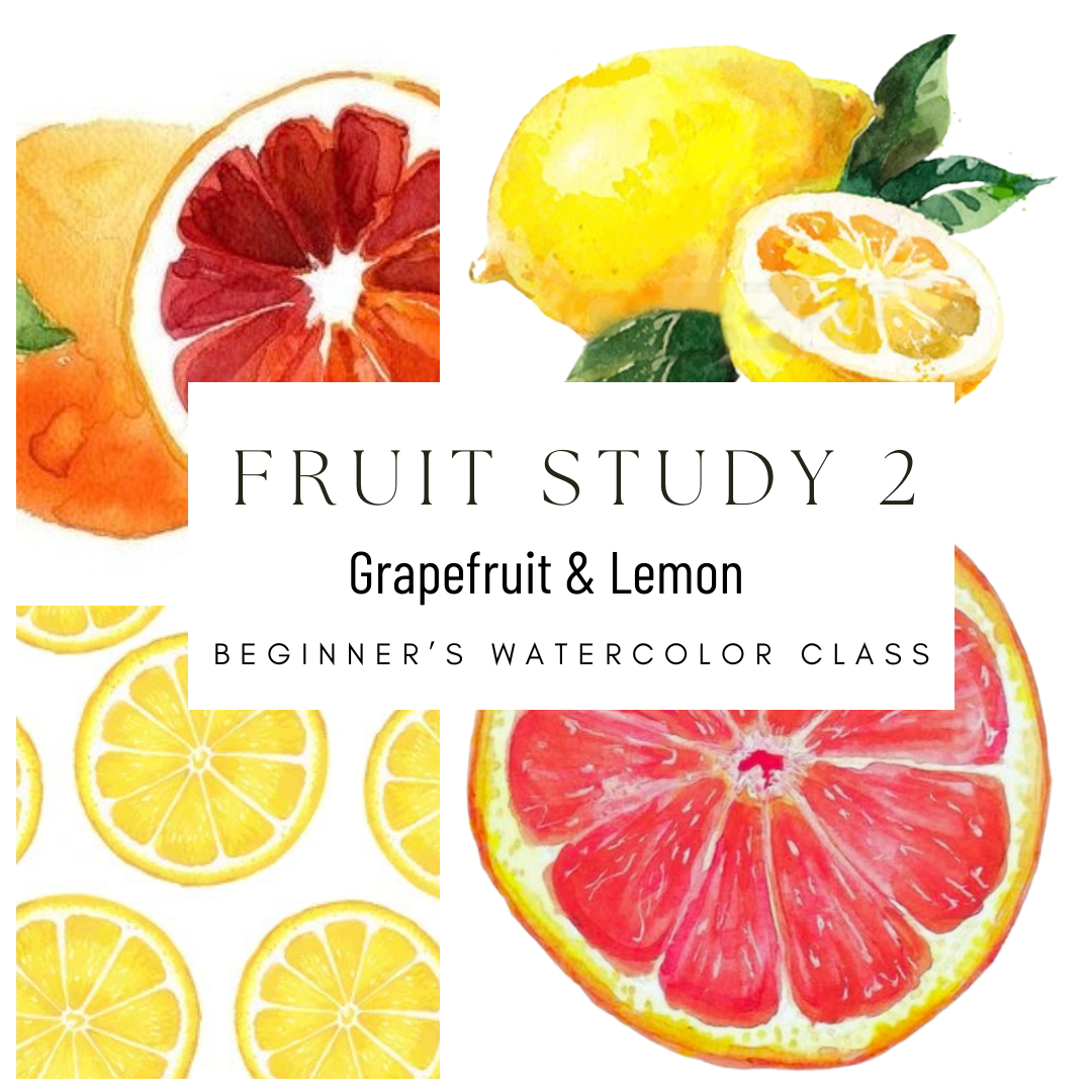 Fruit Study 2 Grapefruit and Lemon Beginners Watercolor Class
