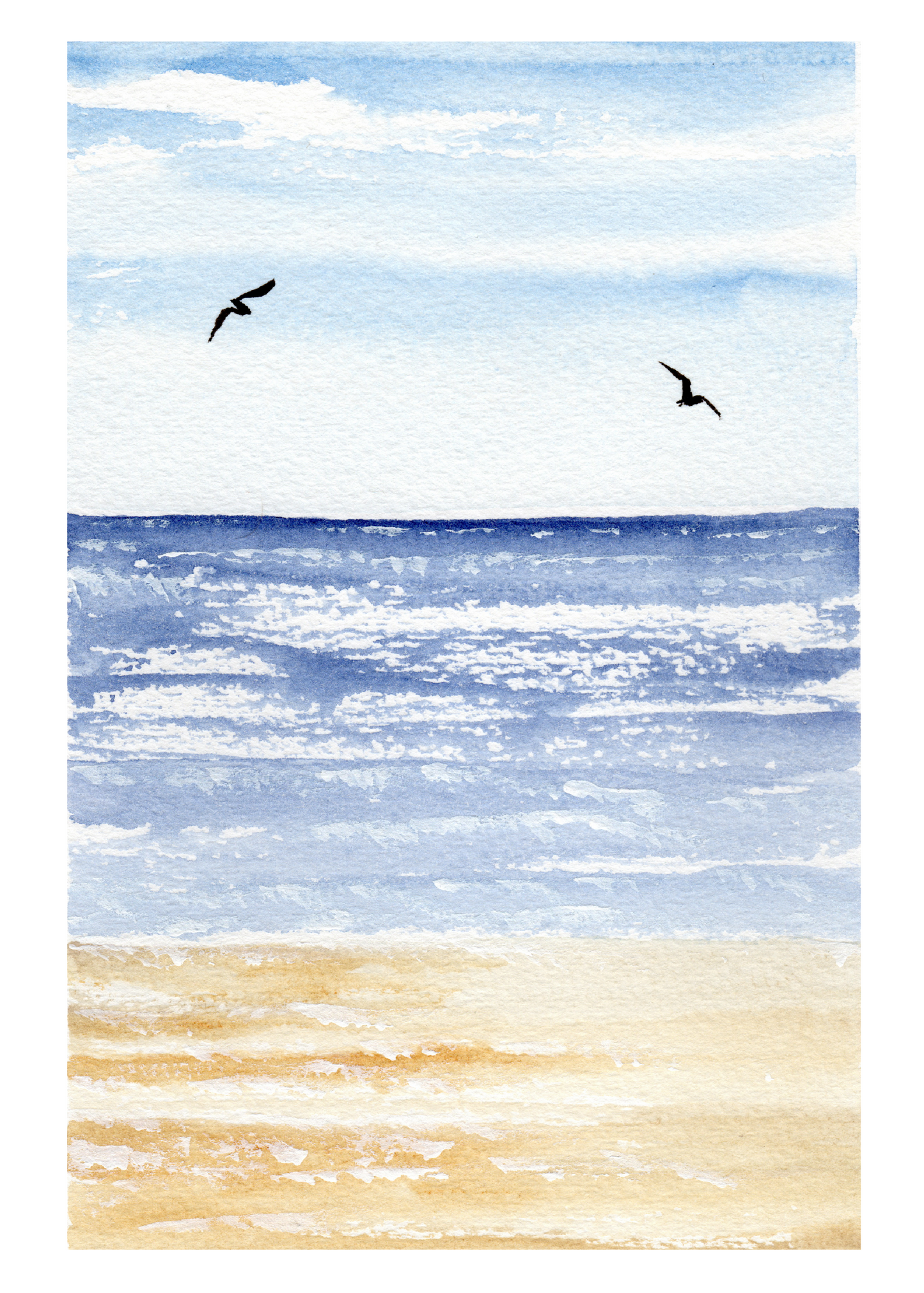 Beach Study 2