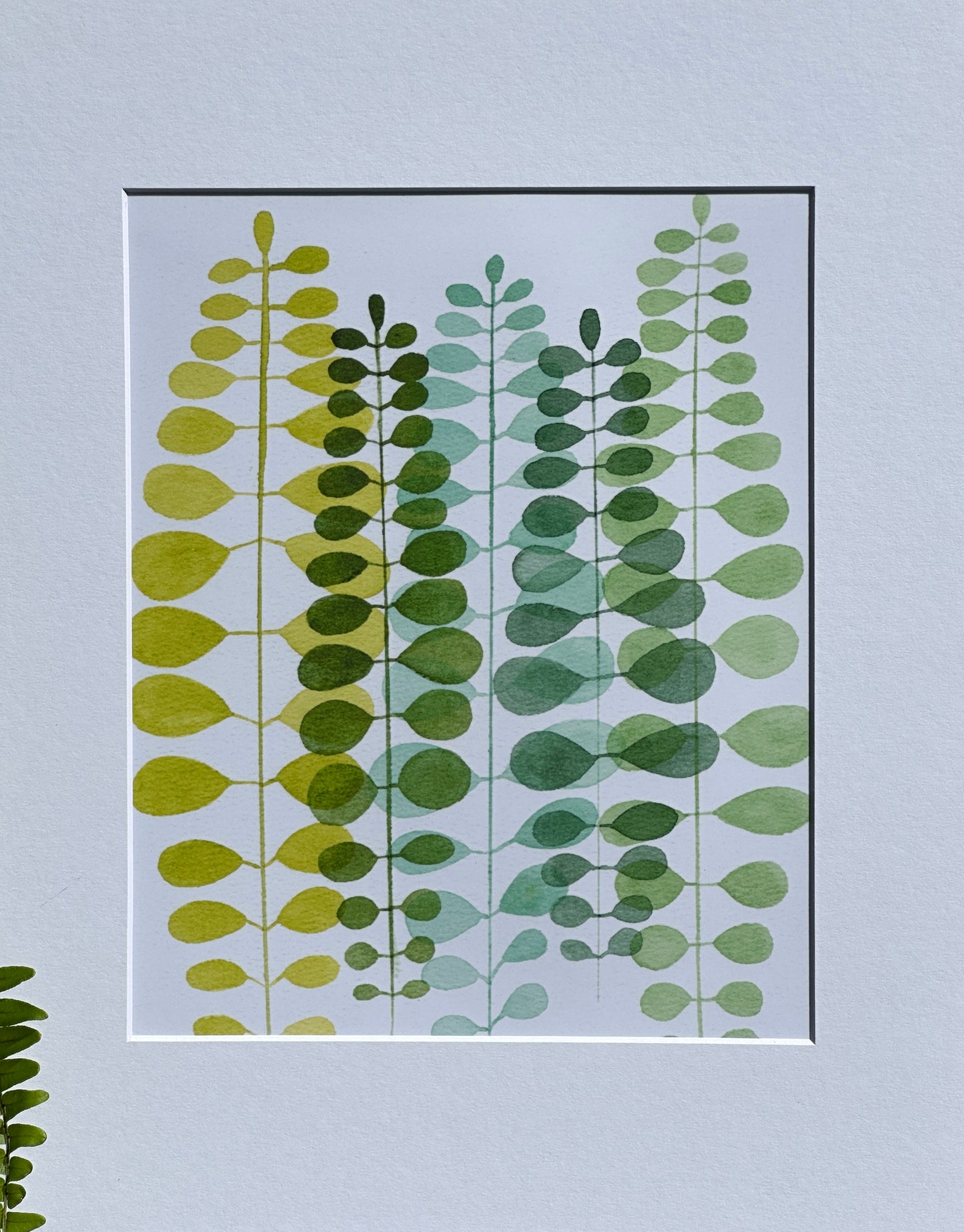 Fern Study IV