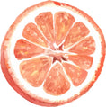 Load image into Gallery viewer, Fruit Study 2 Grapefruit and Lemon Beginners Watercolor Class