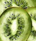 Load image into Gallery viewer, Fruit Study 1 Watermelon and Kiwi Beginners Watercolor Class