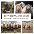 Load image into Gallery viewer, Watercolor Sheep Class