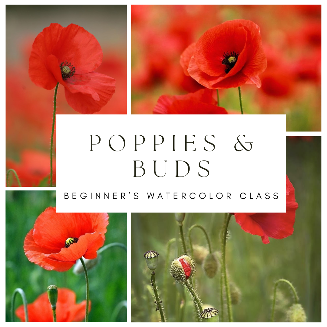 Poppies & Buds Beginner's Watercolor Class at Island Lake Inn