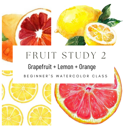 Fruit Study 2 Grapefruit and Lemon Beginners Watercolor Class