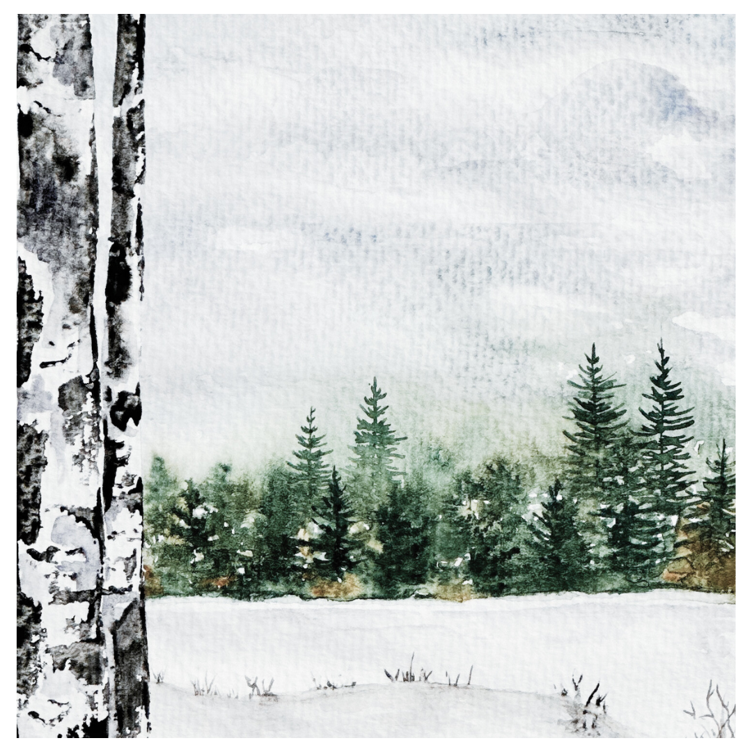 Birch Trees and Evergreens Beginner's Watercolor Class at The Altered Abode