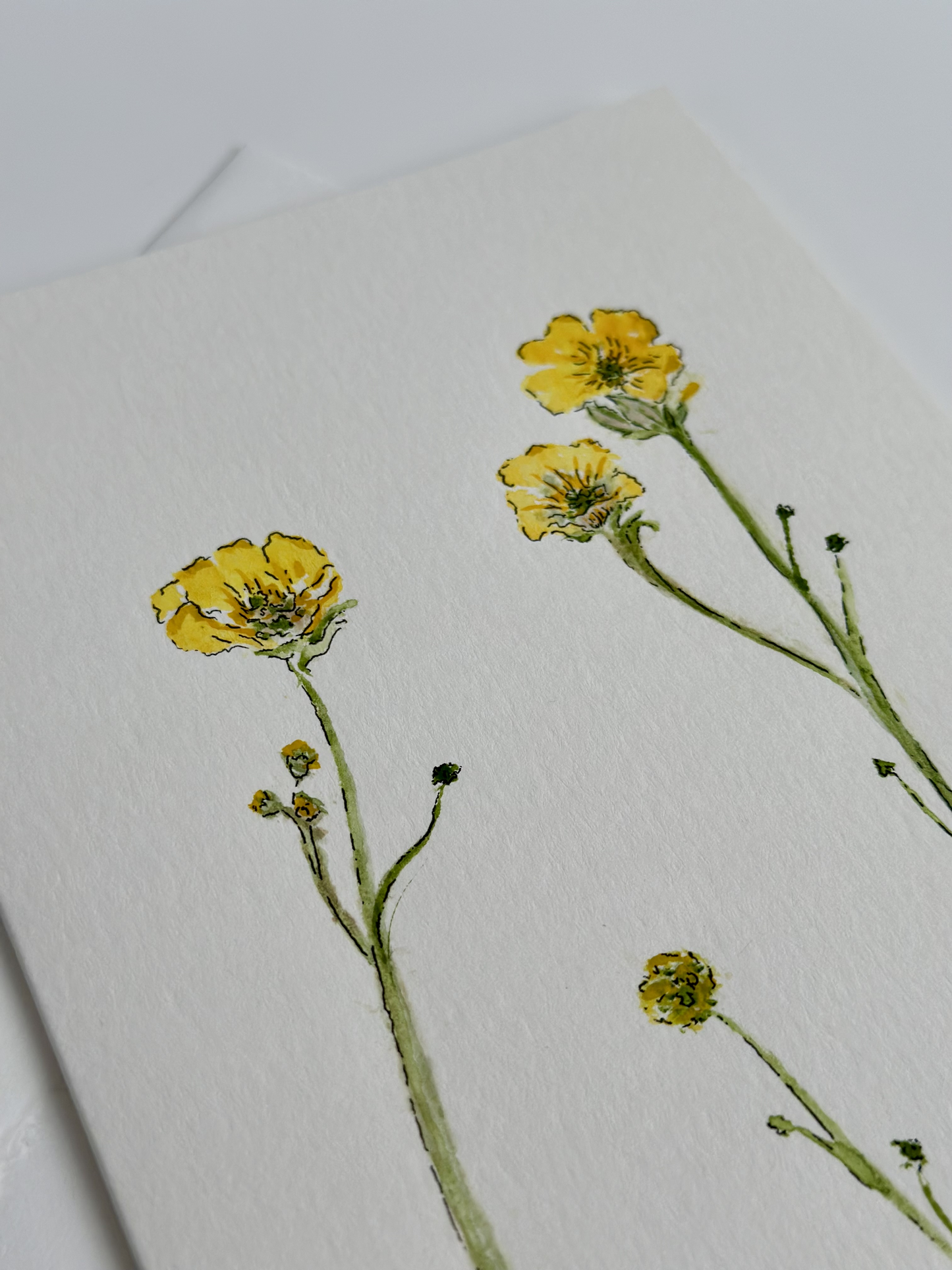 "Buttercups" Original Watercolor Card