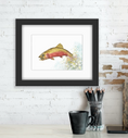 Load image into Gallery viewer, Colorado Cutthroat Trout 8 x 10 Print
