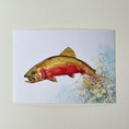 Load image into Gallery viewer, Colorado Cutthroat Trout 5 x 7 Print
