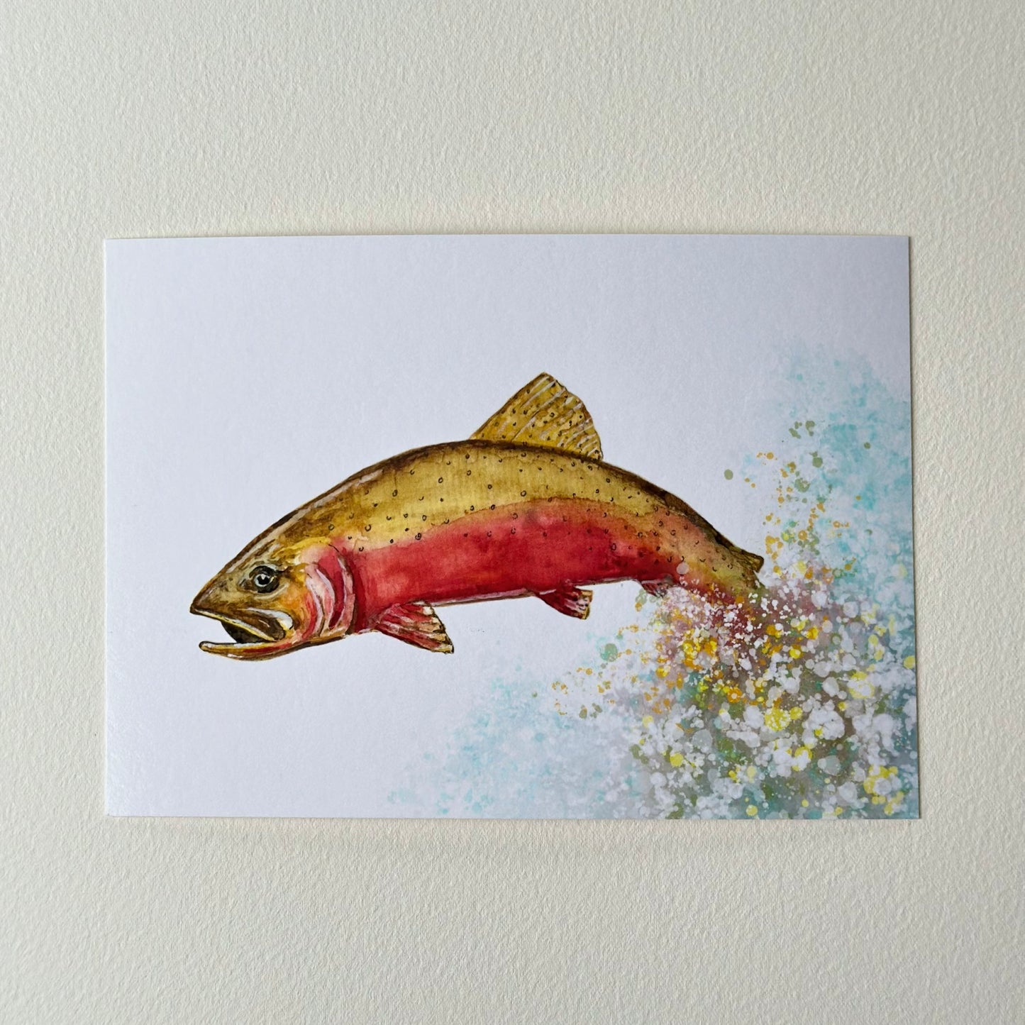 Colorado Cutthroat Trout 5 x 7 Print