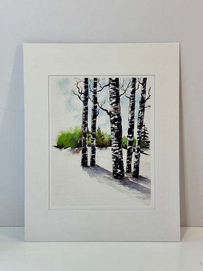 Birch Shadows