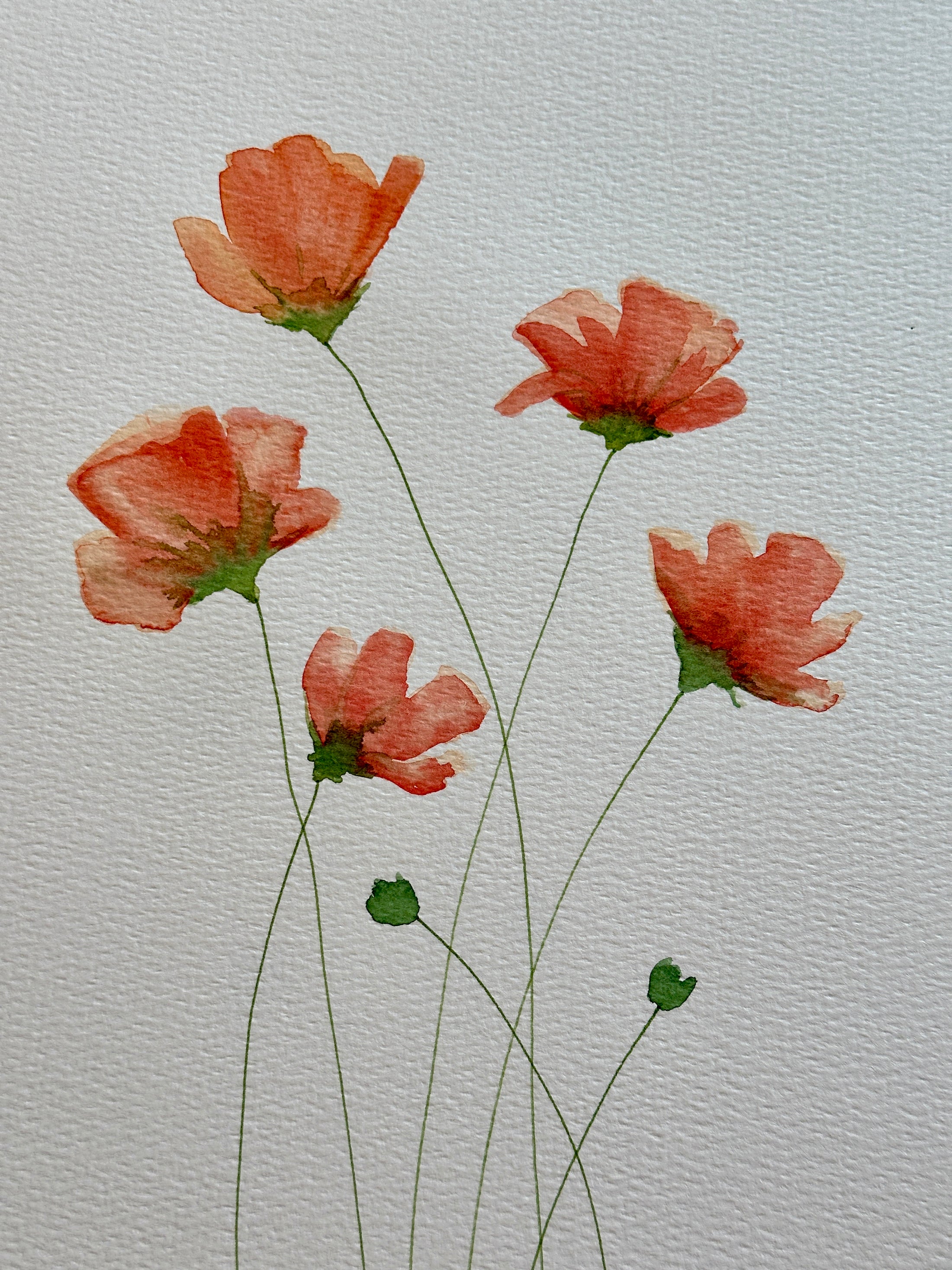 Poppies & Buds Beginner's Watercolor Class at Island Lake Inn