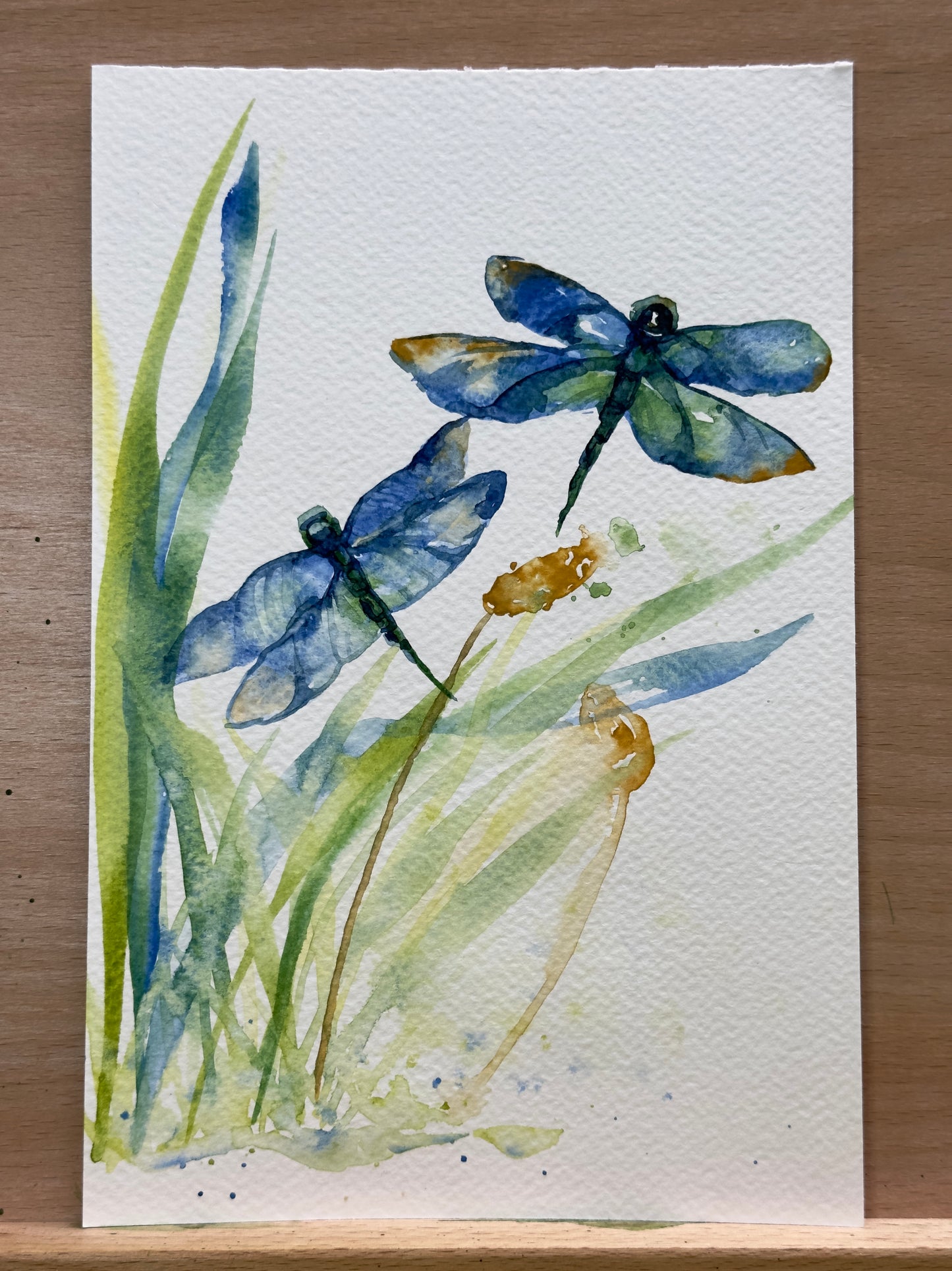 Dragonflies and Wildgrasses Watercolor Class at Island Lake Inn