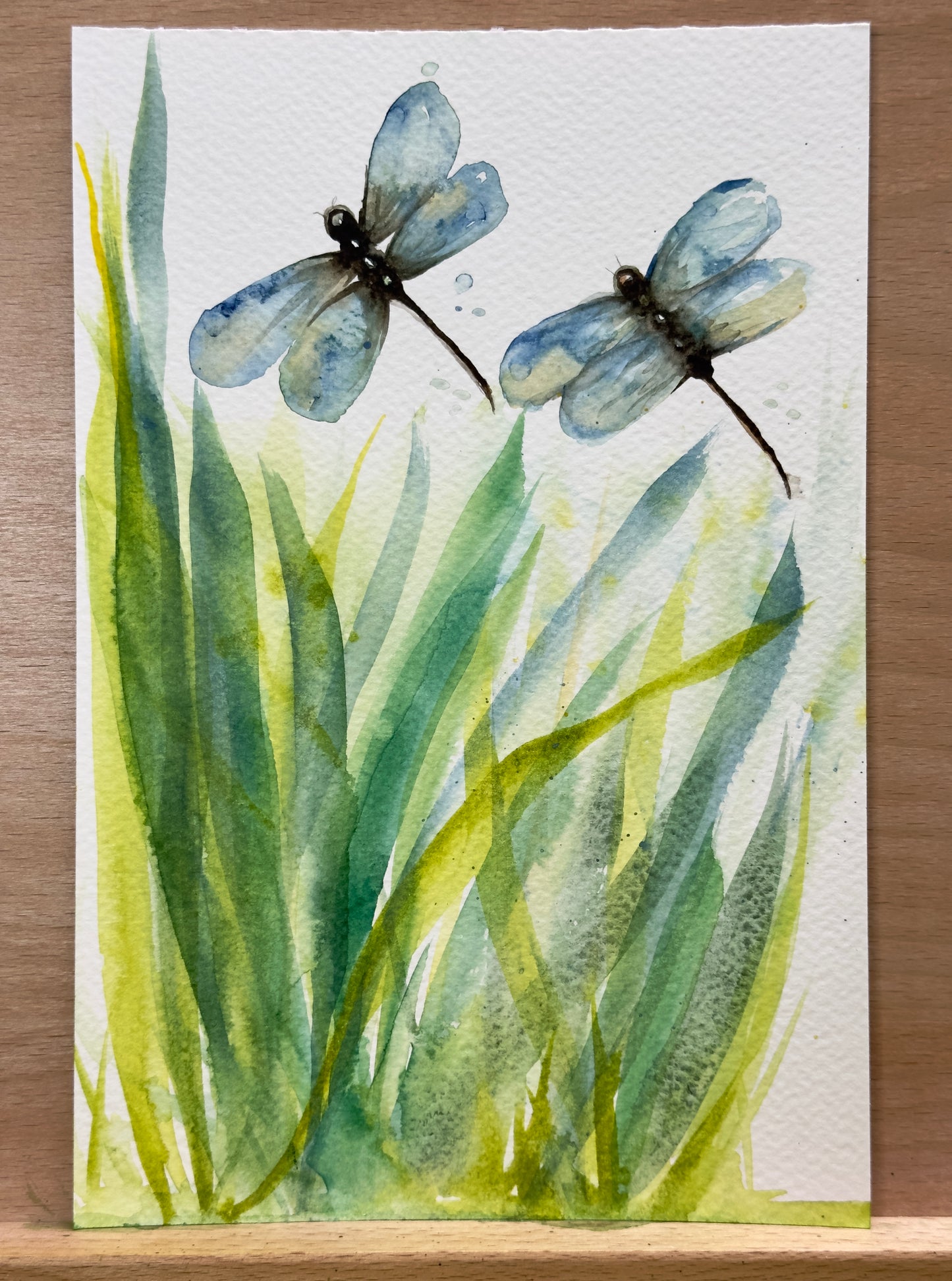 Dragonflies and Wildgrasses Watercolor Class at Island Lake Inn