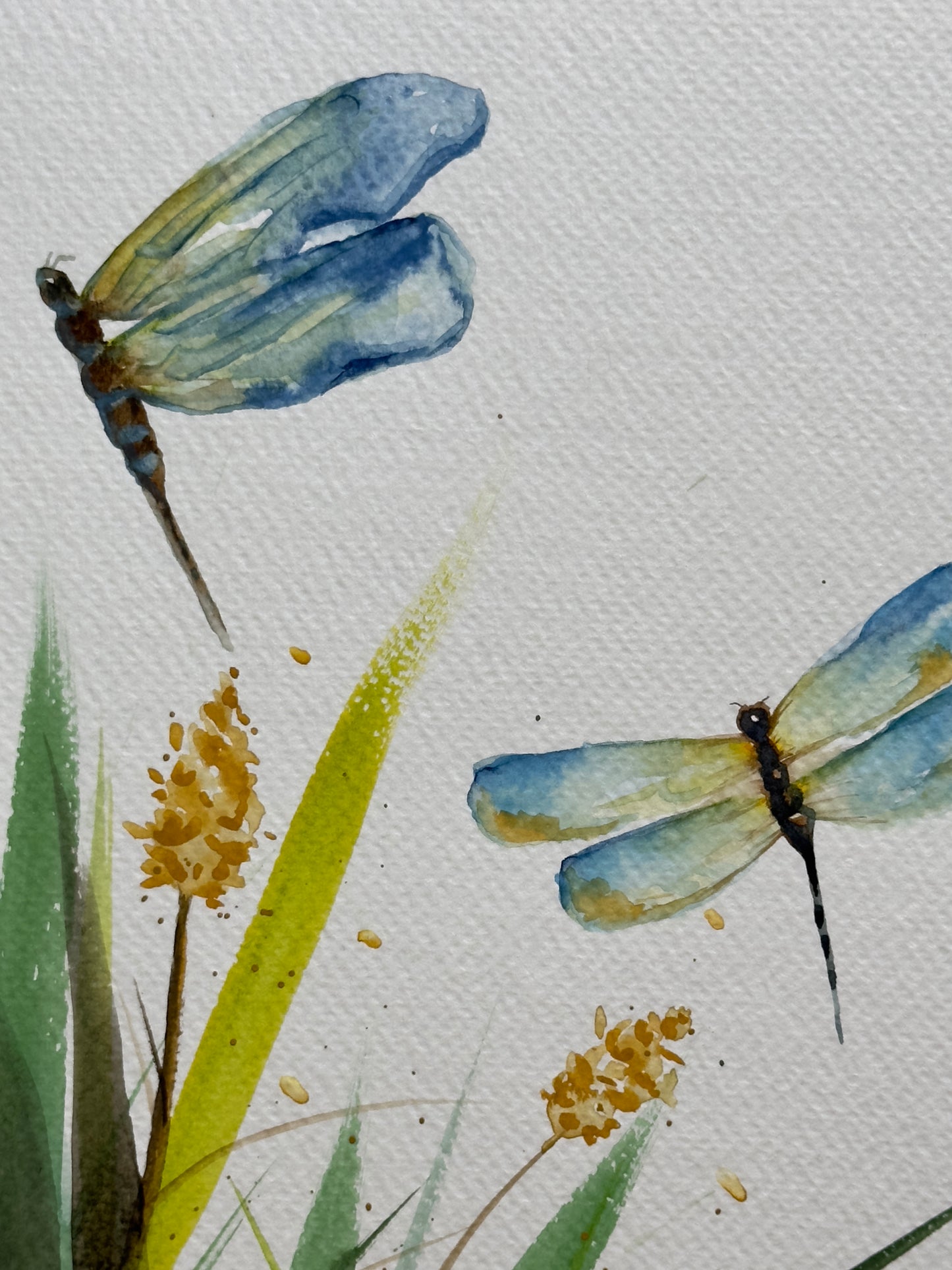 Dragonflies and Wildgrasses Watercolor Class at Island Lake Inn