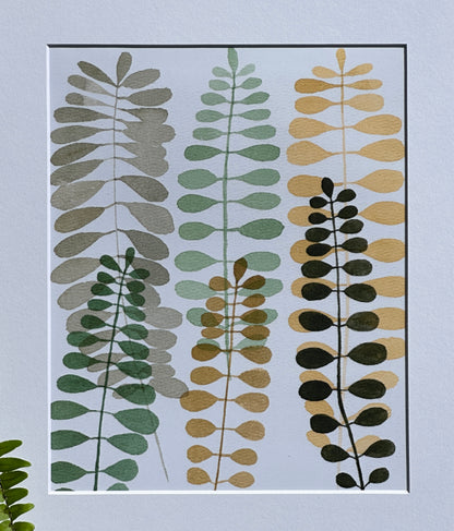 Fern Study II