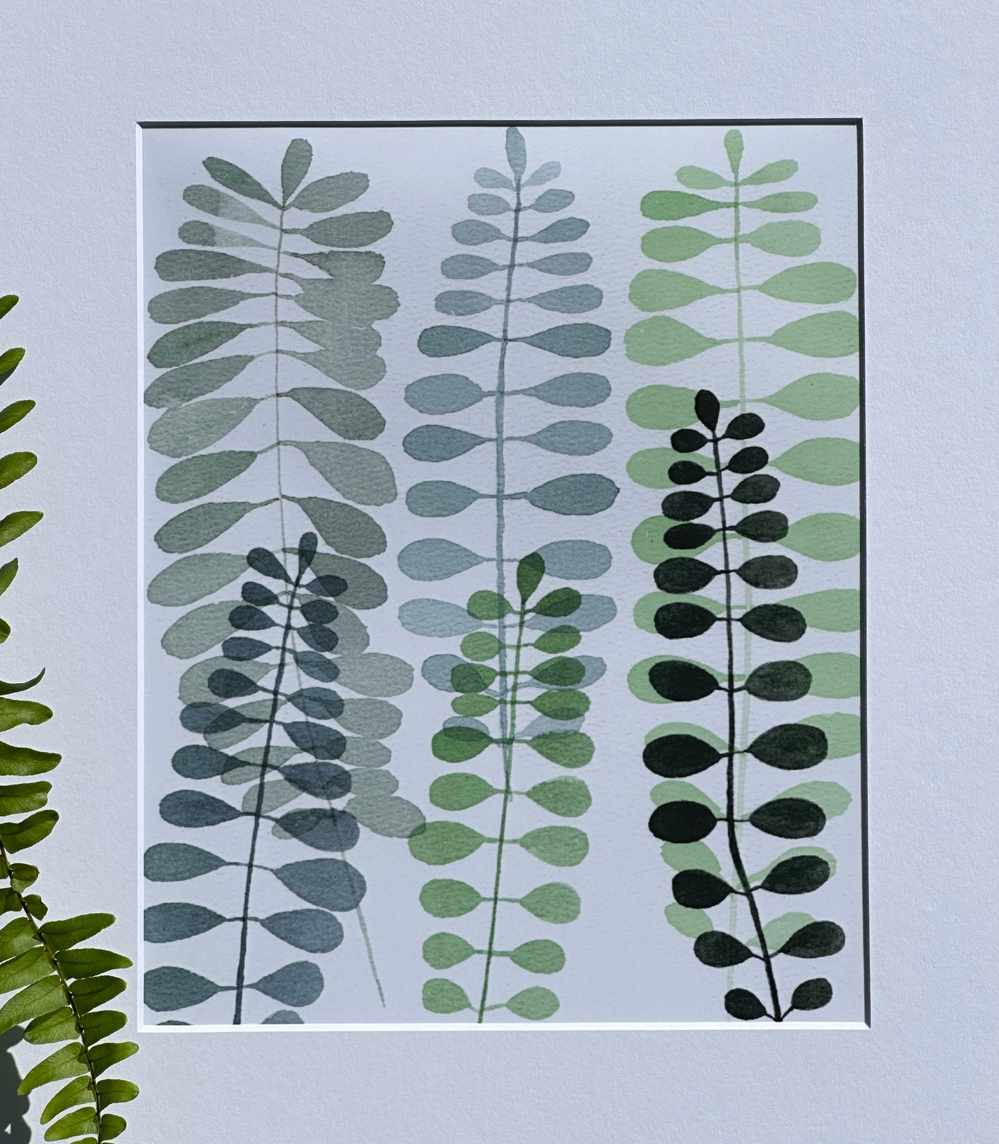 Fern Study I