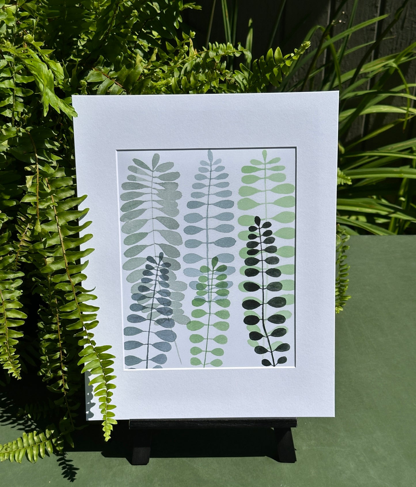 Fern Study I