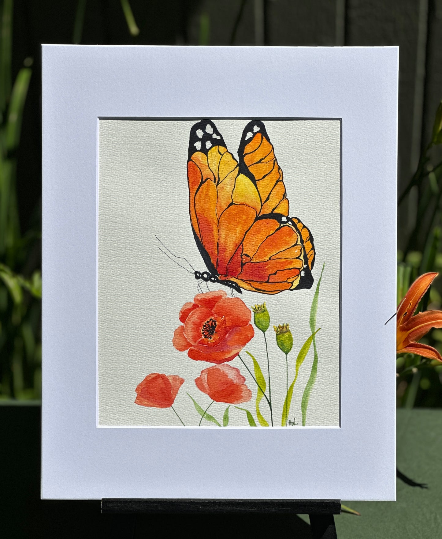 Butterfly Poppies