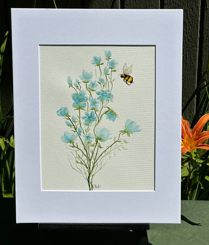 Forget Me Not Bees