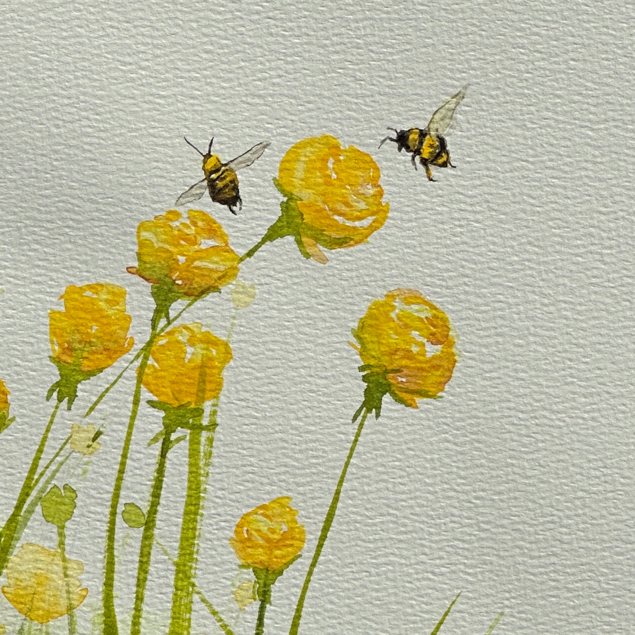 Buttercups and Honeybees