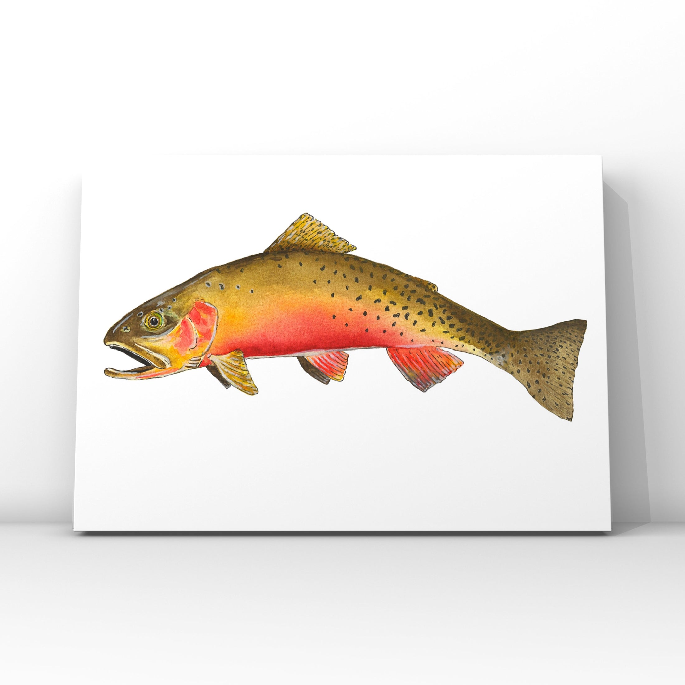 Cutthroat Trout 8” x 10” Print