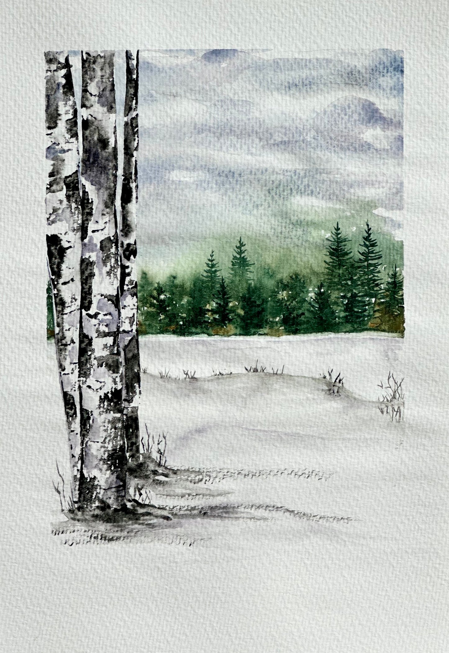 Birch Trees and Evergreens Beginner's Watercolor Class at The Altered Abode