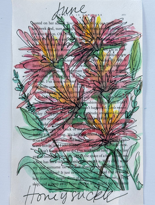 June Flower Series: Painted Pages Honeysuckle