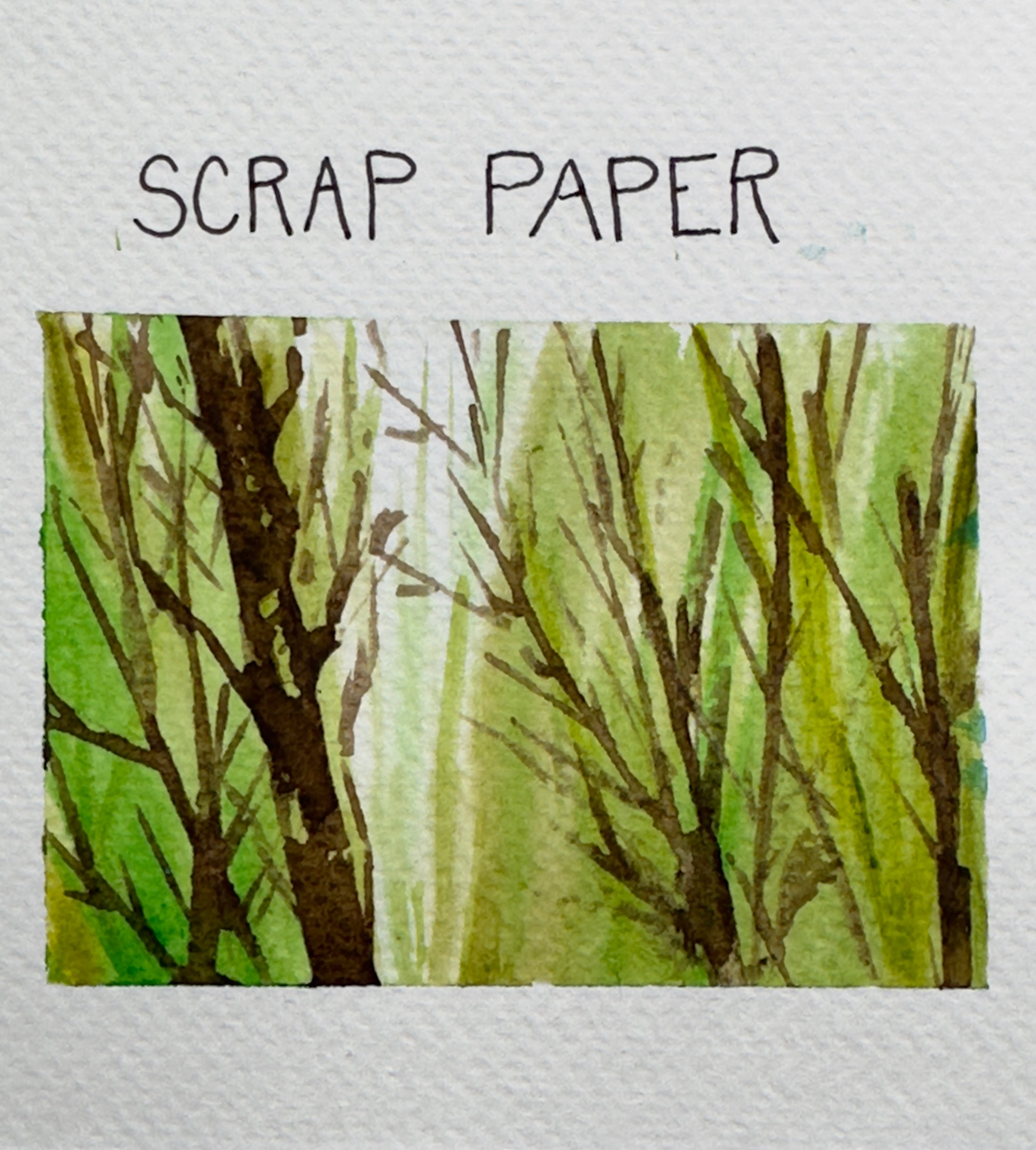 Watercolor Effects Beginner's Watercolor Class at Island Lake Inn