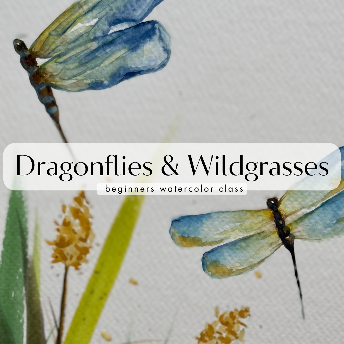 Dragonflies and Wildgrasses Watercolor Class at Island Lake Inn